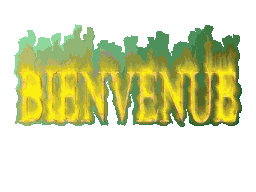 Gif animé bienvenue feu